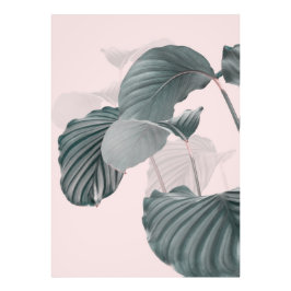 Tropische elegantie in Pastel Foto Afdruk