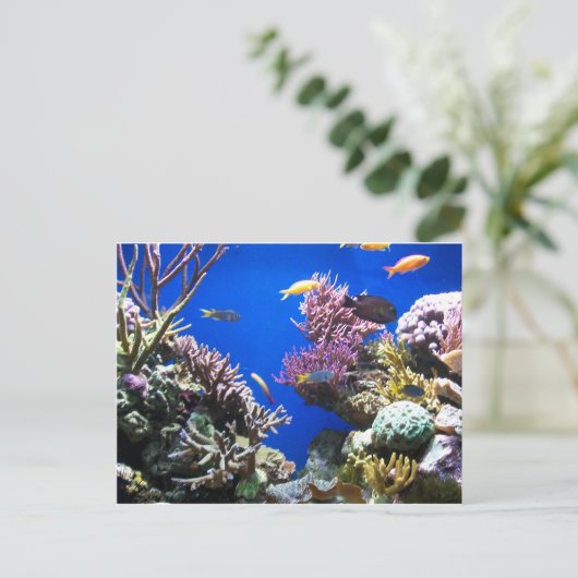 Tropische Ertsader Briefkaart (Staand voorkant)