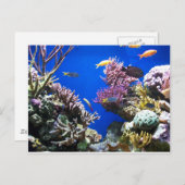 Tropische Ertsader Briefkaart (Voorkant / Achterkant)