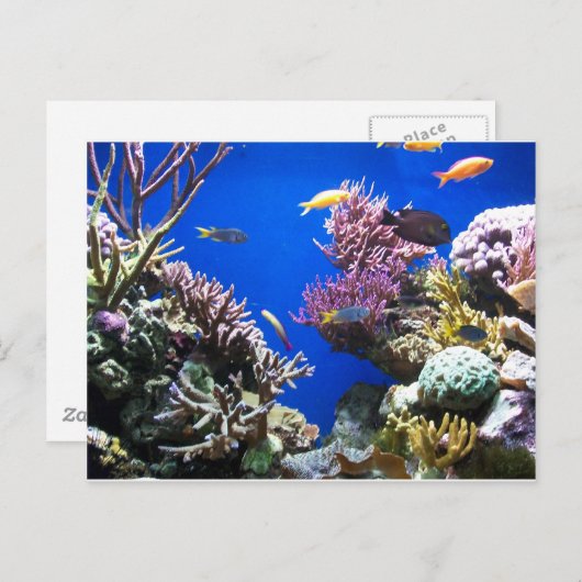 Tropische Ertsader Briefkaart (Voorkant / Achterkant)