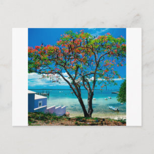 Tropische Escape Bahamas Briefkaart