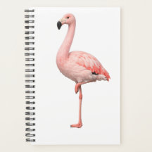 Tropische Flamingo en Ara Papegaai Dubbele Cover