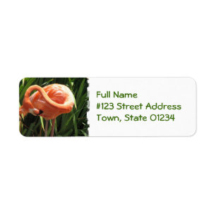 Tropische Flamingo Return Address Label
