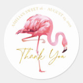 Tropische Flamingo Sweet 16 Dank u ID922 Ronde Sticker (Voorkant)