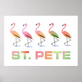 Tropische flamingos - St Pete Poster (Voorkant)
