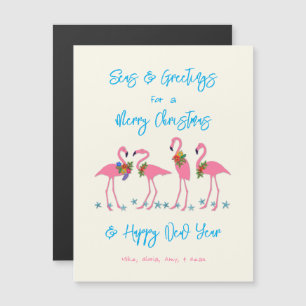 Tropische Flamingo's Zee n Groeten Magnetische Kaa