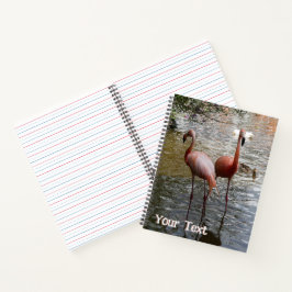 Tropische flamingovogels snijden. Tekst Notitieboe Notitieboek
