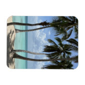 Tropische flexibele magneet (Horizontaal)