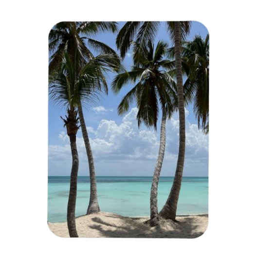 Tropische flexibele magneet (Verticaal)