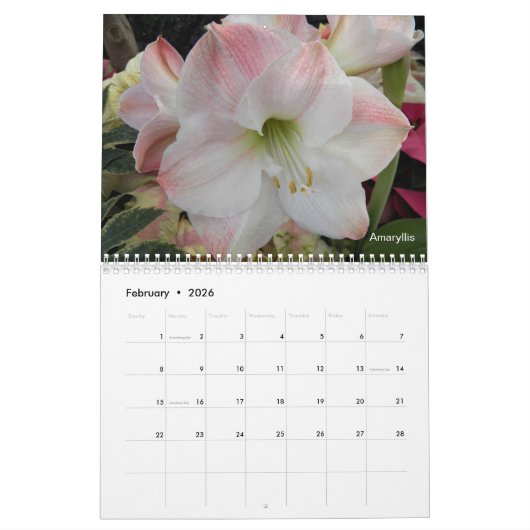 Tropische Flora fotografisch Kalender (Feb 2026)