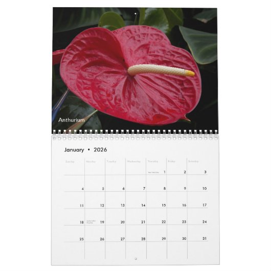 Tropische Flora fotografisch Kalender (Jan 2026)