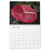Tropische Flora fotografisch Kalender (Jan 2027)