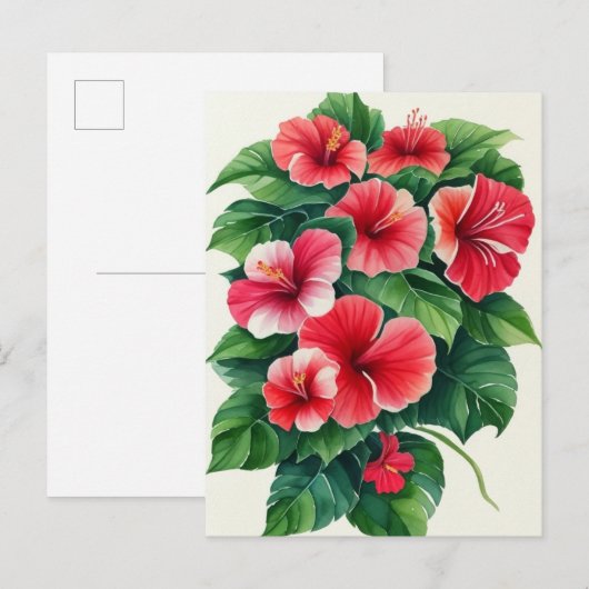 Tropische flora lichtrode hibiscus briefkaart (Voorkant / Achterkant)