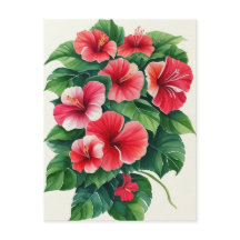 Tropische flora lichtrode hibiscus