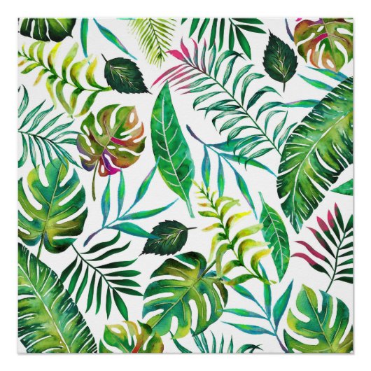 Tropische Flora Poster (Voorkant)