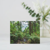 Tropische flora van het briefkaart van het regenwo (Staand voorkant)