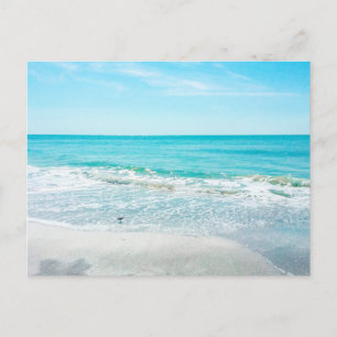 Tropische Florida Beach Sand Ocean Waves Sandpiper Briefkaart