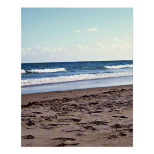 Tropische Floridatropische horizon Perfect Poster