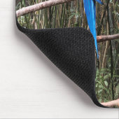 Tropische foto van Parrot Bird Muismat (Hoek)