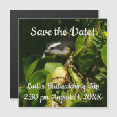 Tropische fotografie van de vogelsoort (Voorkant / Achterkant)