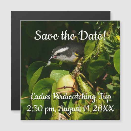 Tropische fotografie van de vogelsoort (Voorkant / Achterkant)