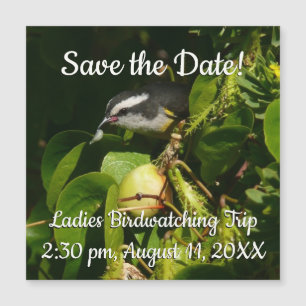 Tropische fotografie van de vogelsoort