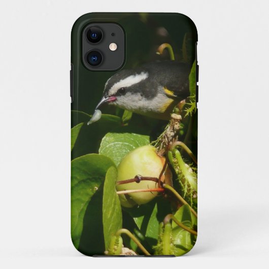 Tropische fotografie van de vogelsoort Case-Mate iPhone case (Achterkant)