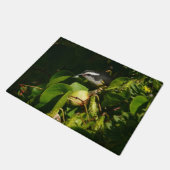 Tropische fotografie van de vogelsoort deurmat (Schuin)