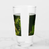 Tropische fotografie van de vogelsoort glas (Links)