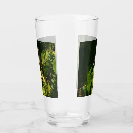 Tropische fotografie van de vogelsoort glas (Rechts)