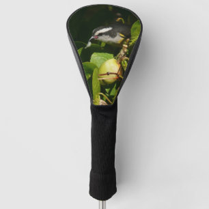Tropische fotografie van de vogelsoort golfheadcover