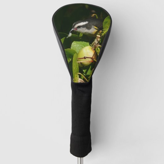 Tropische fotografie van de vogelsoort golfheadcover (Voorkant)