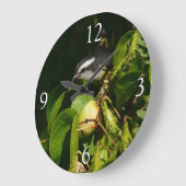 Tropische fotografie van de vogelsoort grote klok (Hoek)