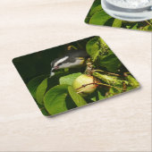 Tropische fotografie van de vogelsoort kartonnen onderzetters (Schuin)