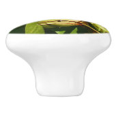 Tropische fotografie van de vogelsoort keramische knop (Zijkant)