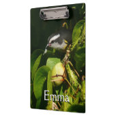 Tropische fotografie van de vogelsoort klembord (Links)