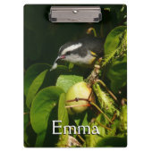 Tropische fotografie van de vogelsoort klembord (Voorkant)