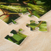 Tropische fotografie van de vogelsoort legpuzzel (Zijkant)