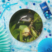 Tropische fotografie van de vogelsoort papieren bordje (Feest)