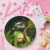 Tropische fotografie van de vogelsoort papieren bordje (Feest)