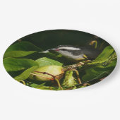 Tropische fotografie van de vogelsoort papieren bordje (Gekanteld)