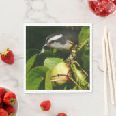 Tropische fotografie van de vogelsoort servetten (Insitu)