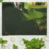 Tropische fotografie van de vogelsoort theedoek (Gevouwen)