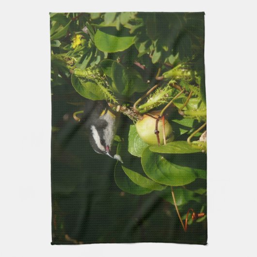 Tropische fotografie van de vogelsoort theedoek (Verticaal)