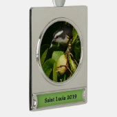 Tropische fotografie van de vogelsoort verzilverd banner ornament (Rechts)