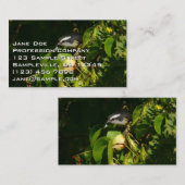 Tropische fotografie van de vogelsoort visitekaartje (Voorkant / Achterkant)