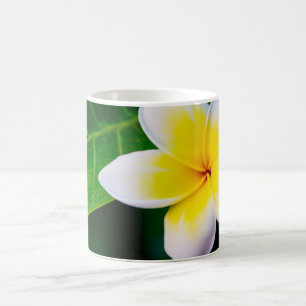 Tropische Frangipani Bloemfotografie Koffiemok