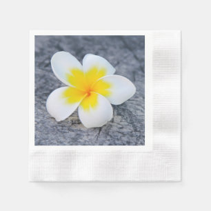 Tropische Frangipani Bloemfotografie Servet