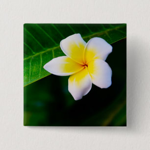 Tropische Frangipani Bloemfotografie Vierkante Button 5,1 Cm