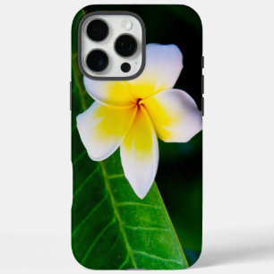 Tropische Frangipani Botanische Foto iPhone 16 Pro Max Hoesje
